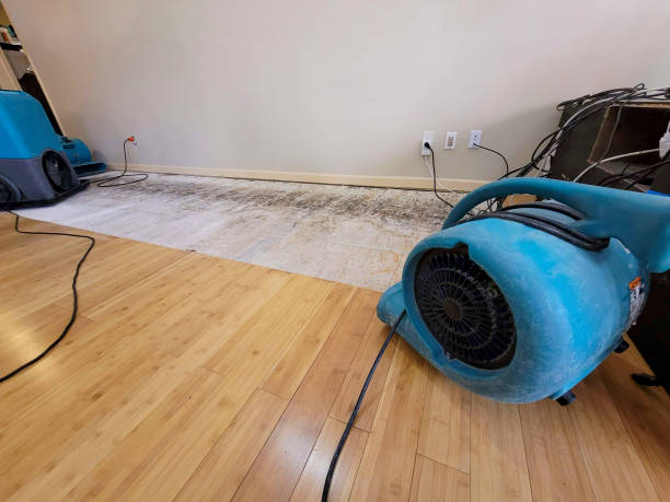 Professional Basement Flood Cleanup technician working in Mount Morris, MI